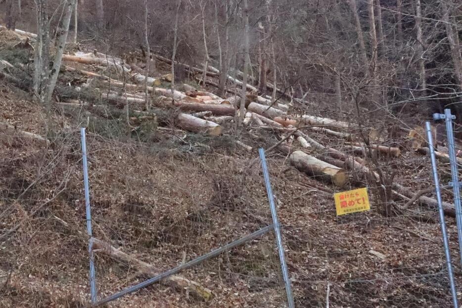 【獣害】なぜ？ 鹿やイノシシから農作物を守る柵の損傷が急増　”犯人”は里山に暮らす人々を悩ませるもうひとつの問題